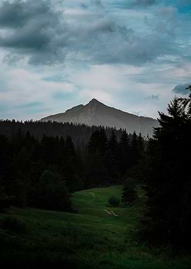 Mountain Peak Through Trees