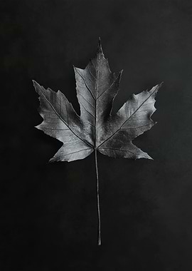 Single Black Leaf