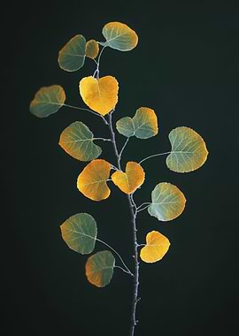 Autumn Branch with Yellow Leaves