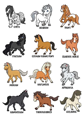 Horse Breeds - Cartoon Kawaii Horses