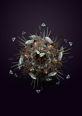 Mayanthemum Floral Mandala Wreath