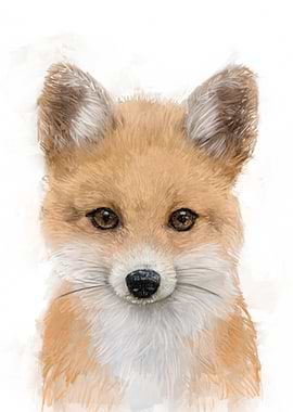 Cute Fox Portrait