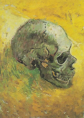 Skull on Yellow Background