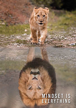 Lion Cub Reflection