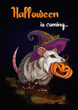 Halloween Opossum