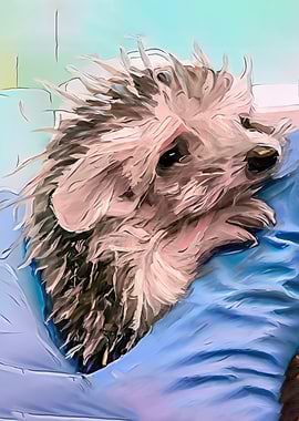 Juvenile baby Hedgehog oil painting