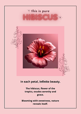 Hibiscus Flower Poster