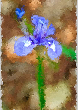 Blue Iris Painting