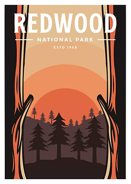 Redwood National Park