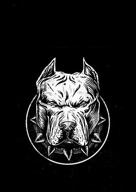 Pitbull Head Illustration