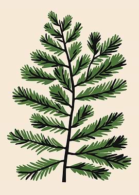 Green Pine Branch Illustration