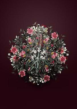 Pina Cortadora Wreath Floral Arrangement on Burgundy