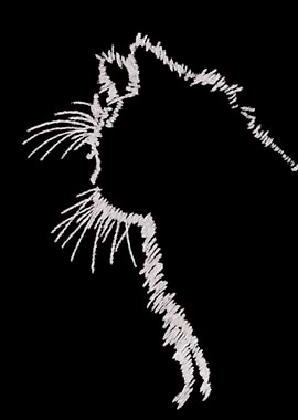 White Cat Silhouette