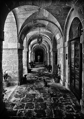 Stone Archway Passage in Black and White