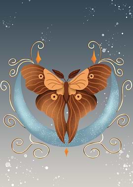 Moth on a Crescent Moon