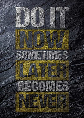 Do It Now Motivational Poster
