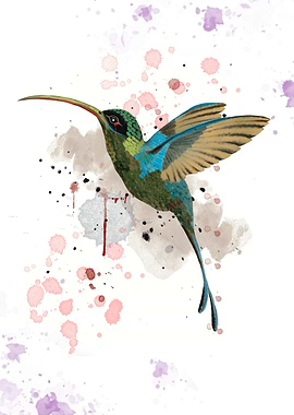 Abstract Hummingbird