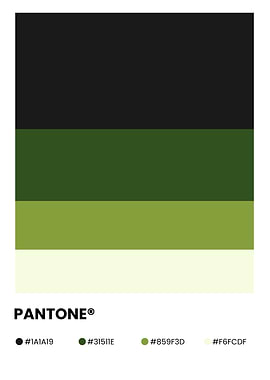 Pantone Color Palette
