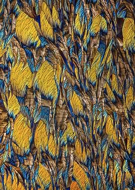 Abstract Crystal Pattern