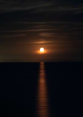 Moonlit Sea