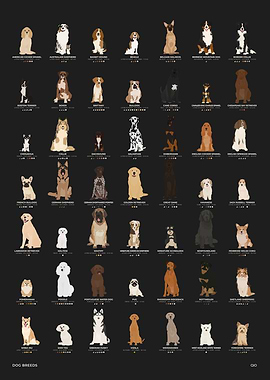 Dog Breed Chart