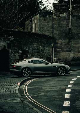 Jaguar on Cobblestone