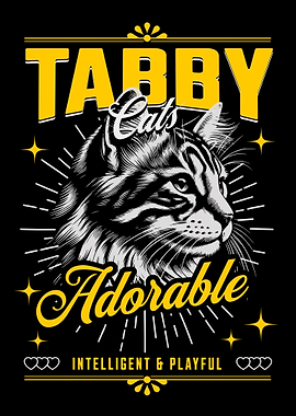 Tabby Cat
