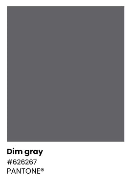 Pantone Dim Gray Color Chart