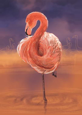 Pink Flamingo Sunset