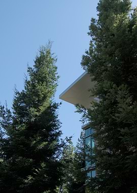 Modern Building with Forest all around