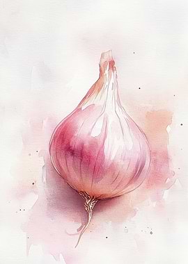 Watercolor Red Onion