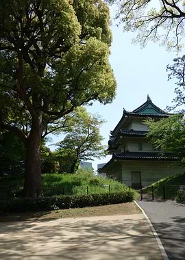 Japanese Garden Gate