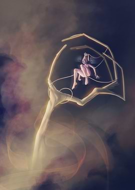 Woman trapped in a web