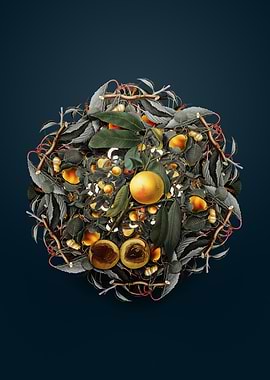 Vintage Peach Wreath Fruit and Branch Collage