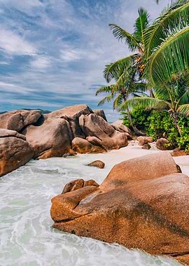 Tropical Beach with Palm Trees at Seychelles