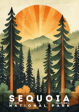 Sequoia National Park - S20