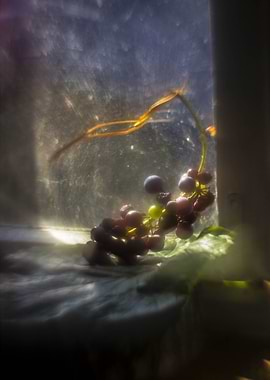 Grapes Through Glass