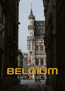 Brussels Town Hall View