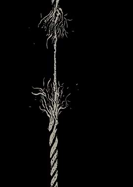 Broken Rope Illustration