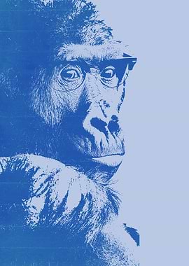 Gorilla in Glasses
