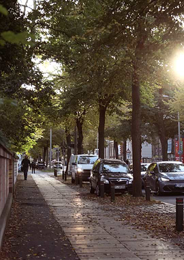 Autumn Street Scene