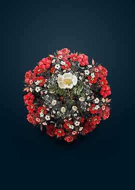 Burnet Rose Wreath Circle on Blue