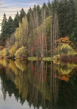 Autumn Reflection
