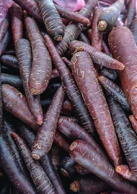 Purple Carrots Close-Up