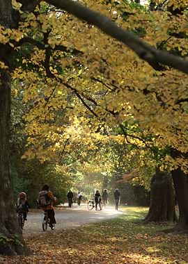Autumn Bike Ride