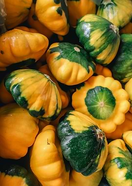 Yellow and Green Squash