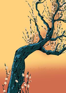 Japanese Cherry Blossom Tree