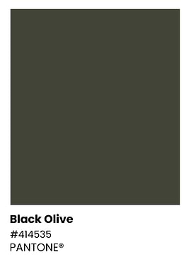 Pantone Black Olive Color