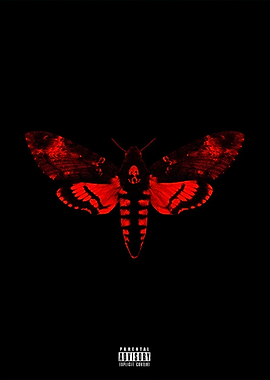 Lil Wayne Rapper Music