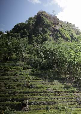 Tropical Mountain Landscape